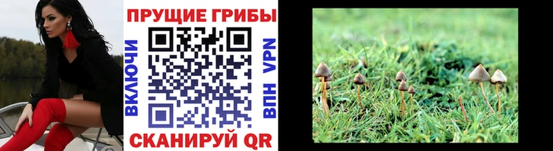 Галлюциногенные грибы ЛСД  где купить наркоту  Щучье 